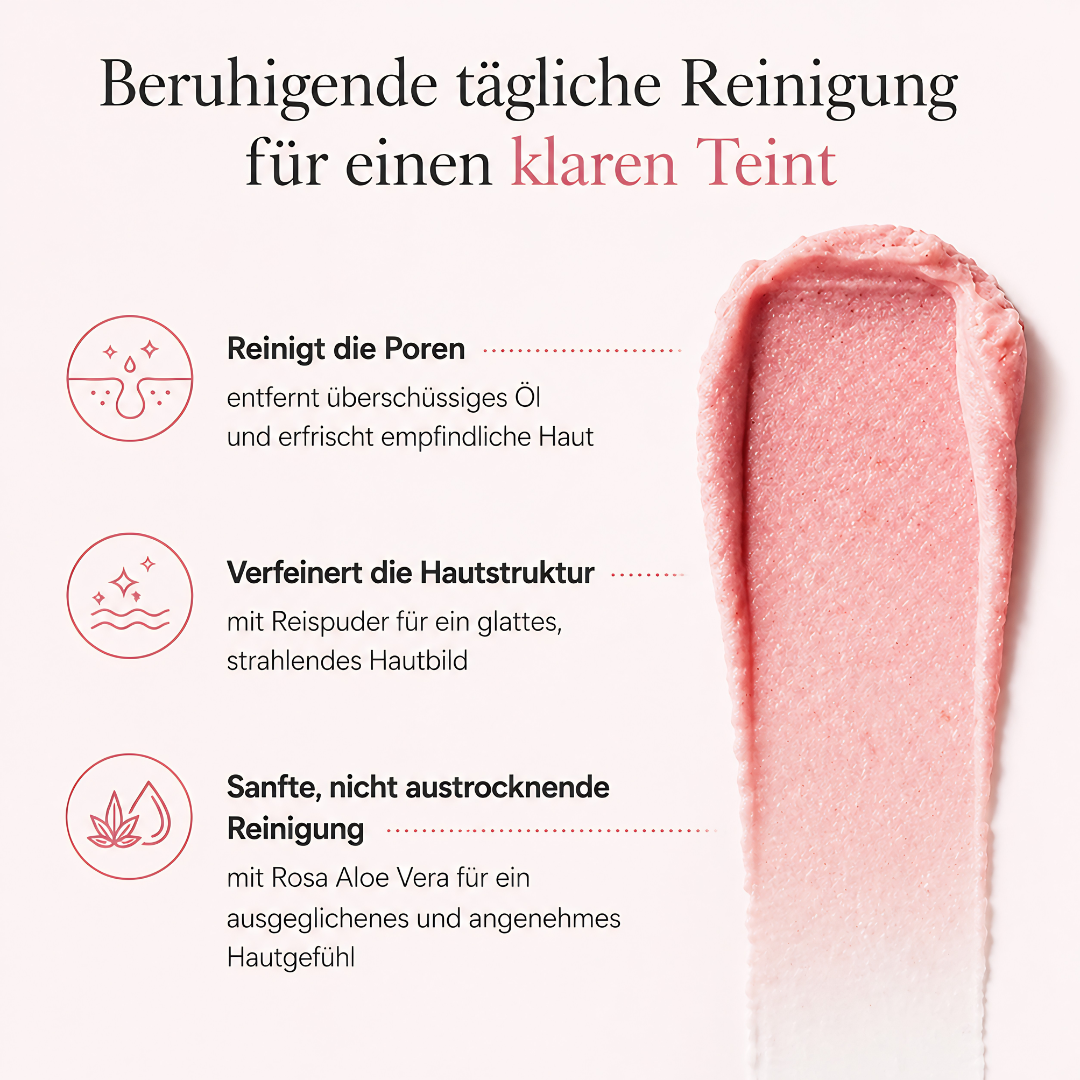 Arencia Fresh Rosehip Rice Mochi Cleanser (120g)