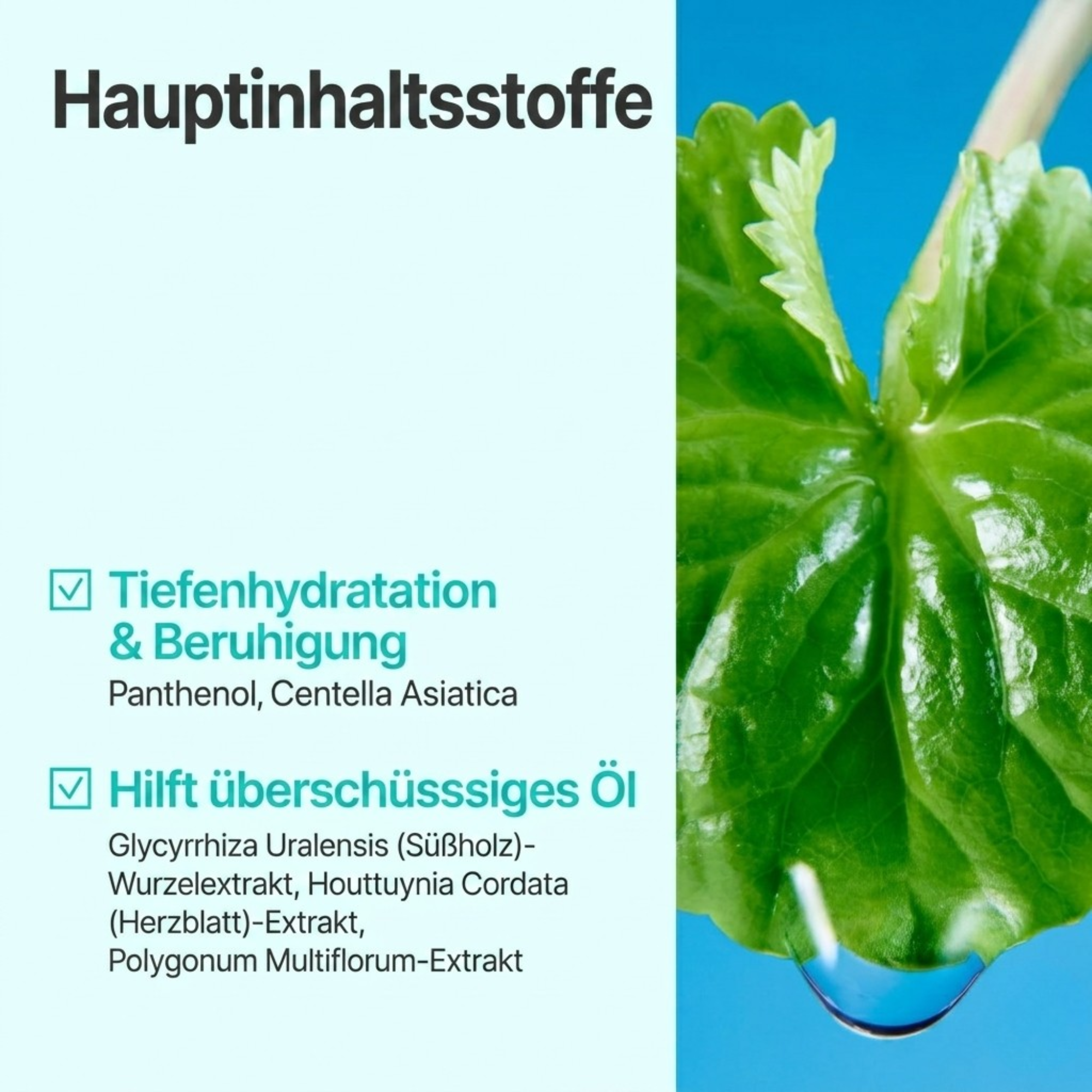 No.1 Pure-full Herb Toner