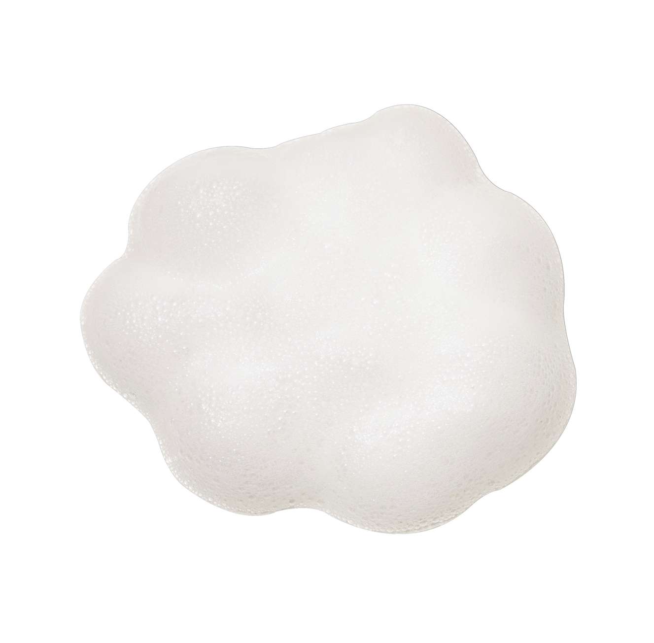 Rich Moist Foaming Cleanser