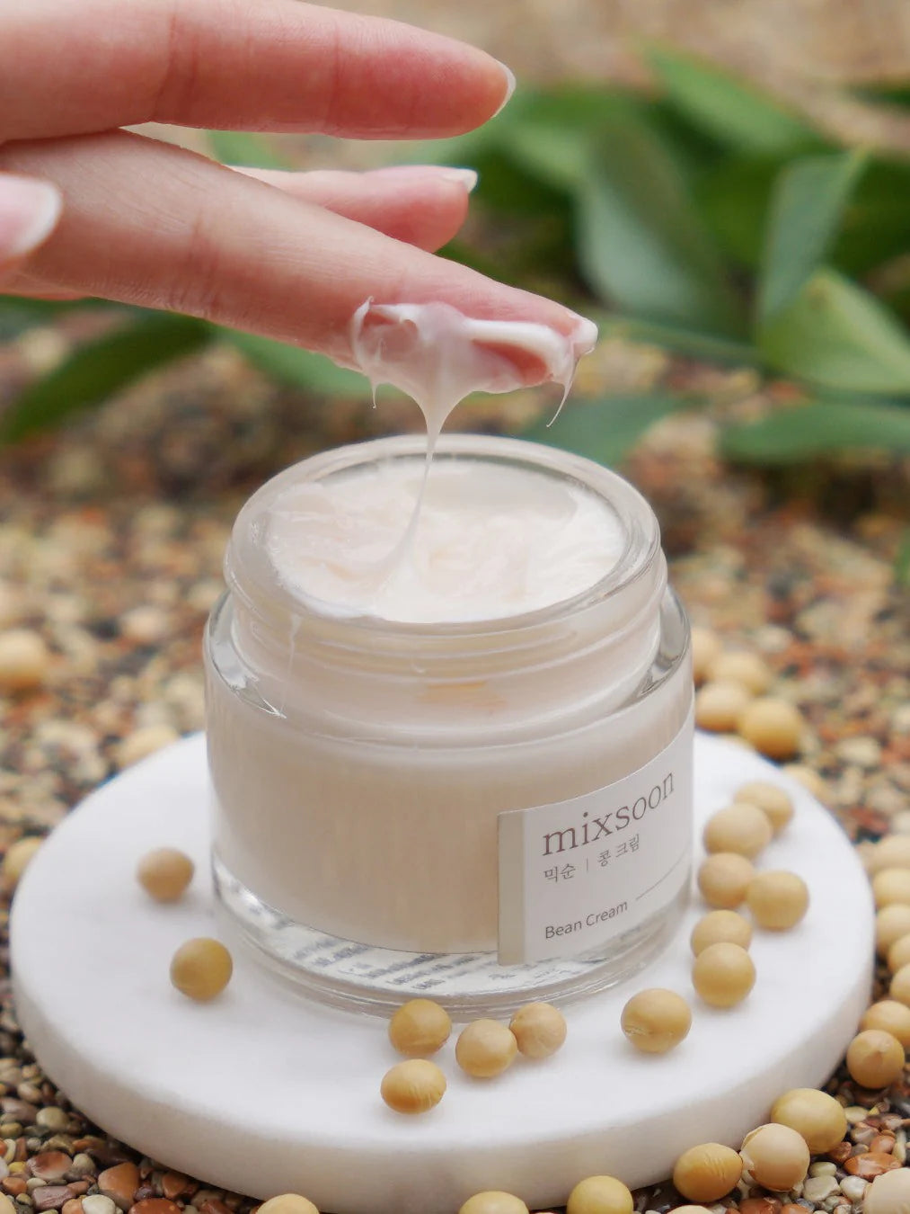 Bean Cream