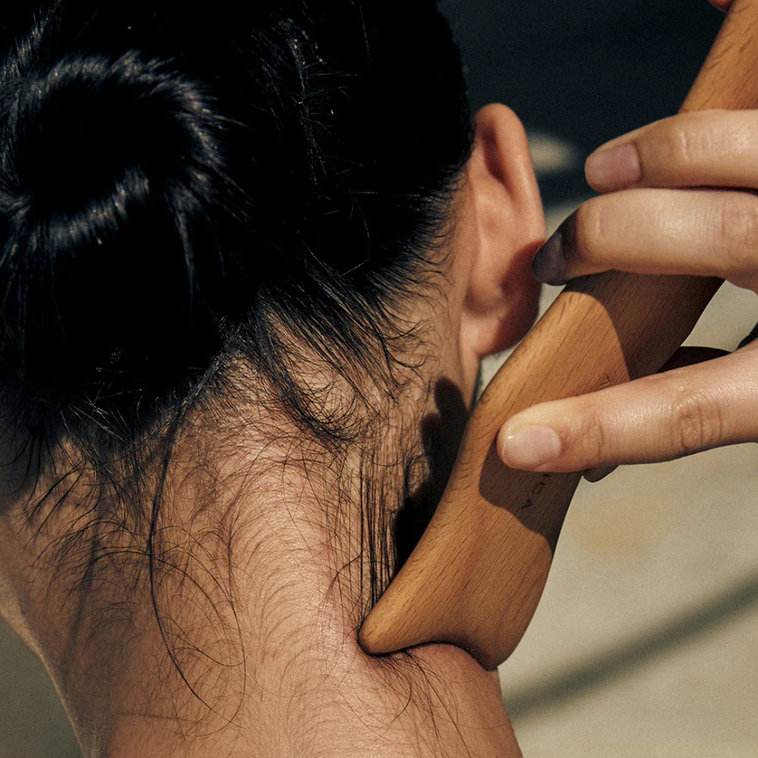 Dolphin Face & Body Massager