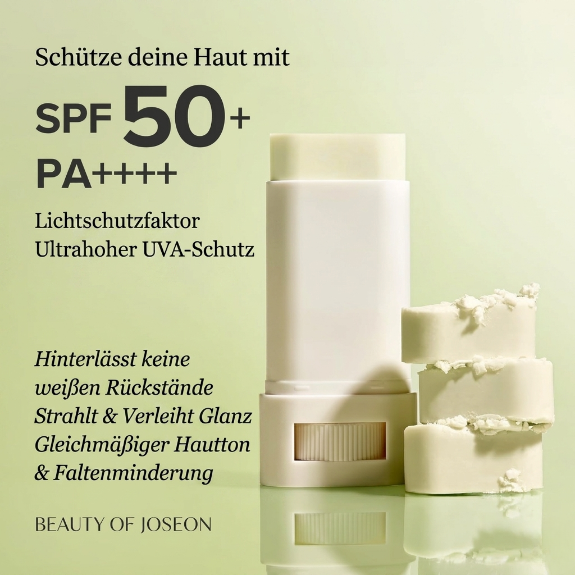 Beauty of Joseon Matte Sun Stick Mugwort&Camelia SPF50+ (18g)