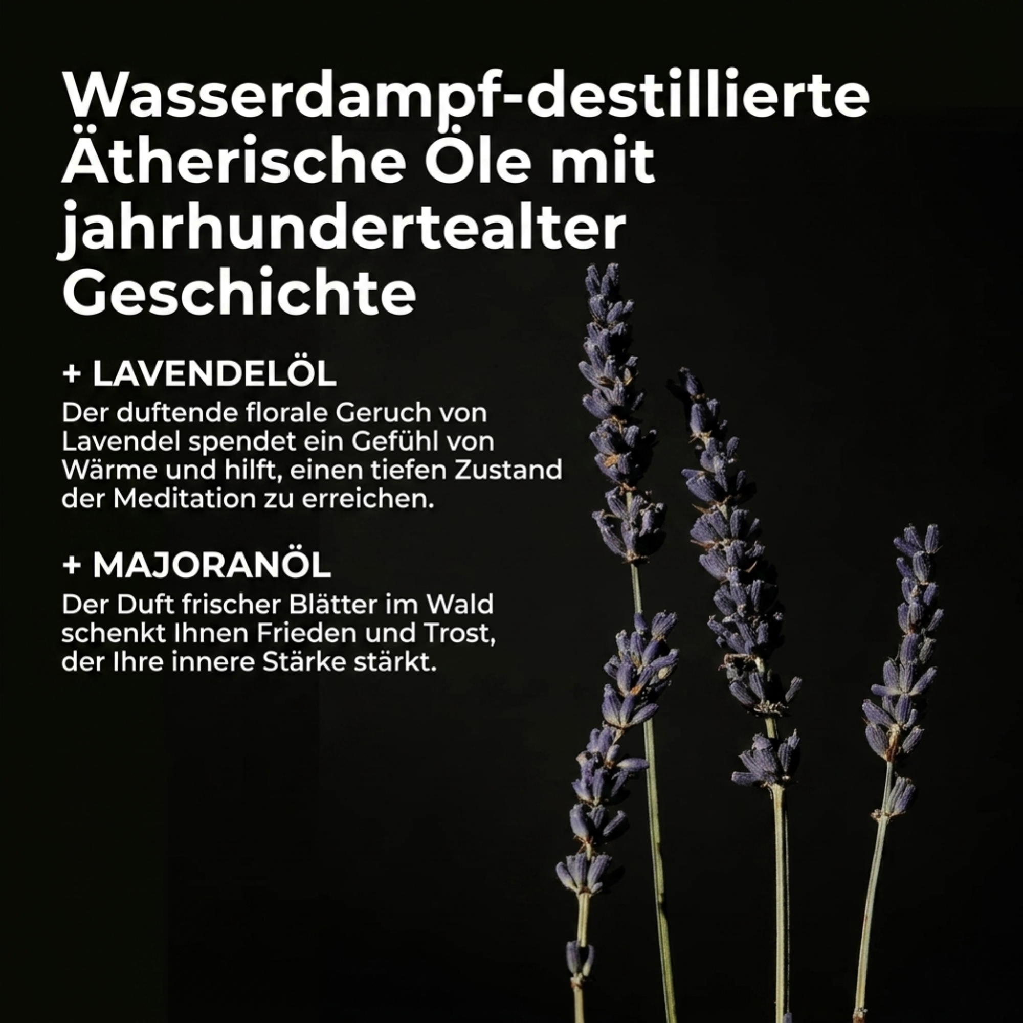 Serene Body Oil Lavender & Marjoram 100 ml